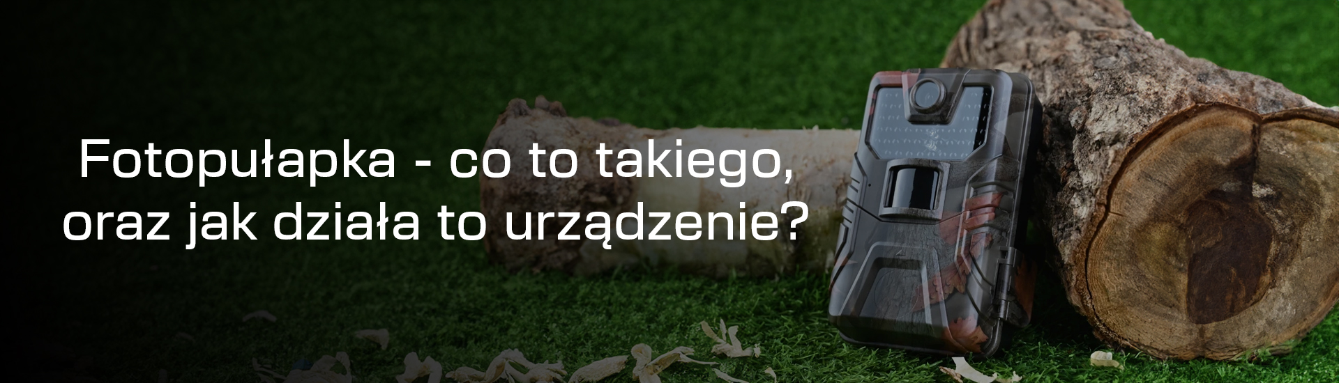 Fotopułapka - co to za urządzenie, jak działa?