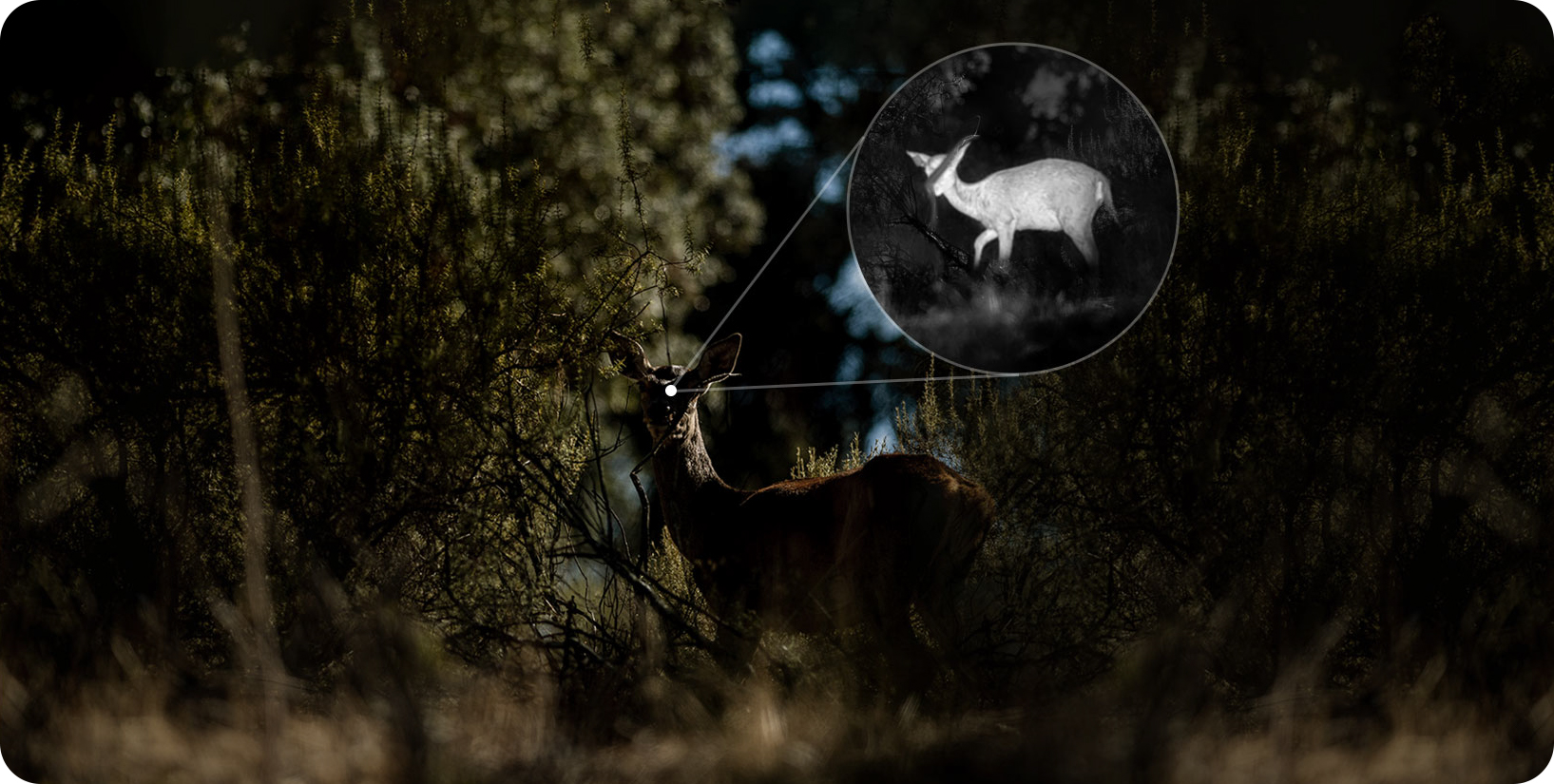 Multispektralna lornetka termowizyjna HIKMICRO Habrok 4K 2.0 HE25L Habrok_4K_HE25L_2