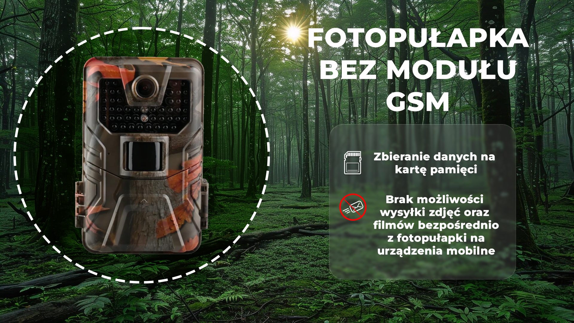 Fotopułapki bez modułu GSM. Wszystko co musisz wiedzieć