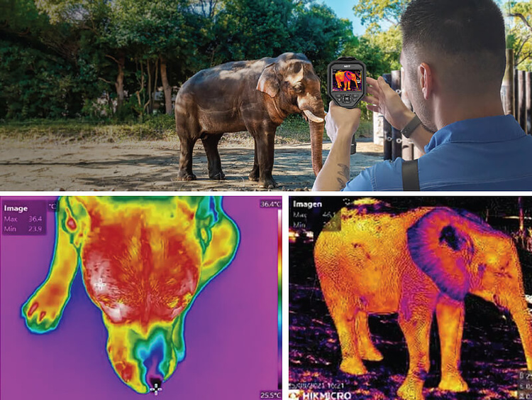 Kamera termowizyjna do medycyny HIKMICRO M31T