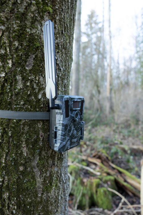 Fotopułapka kamera leśna Hikmicro M15 4G LTE GSM 10Mpx