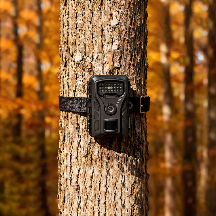 Fotopułapka Kamera Leśna RF06