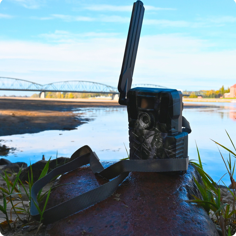 Fotopułapka kamera leśna Hikmicro M15 4G LTE GSM 10Mpx