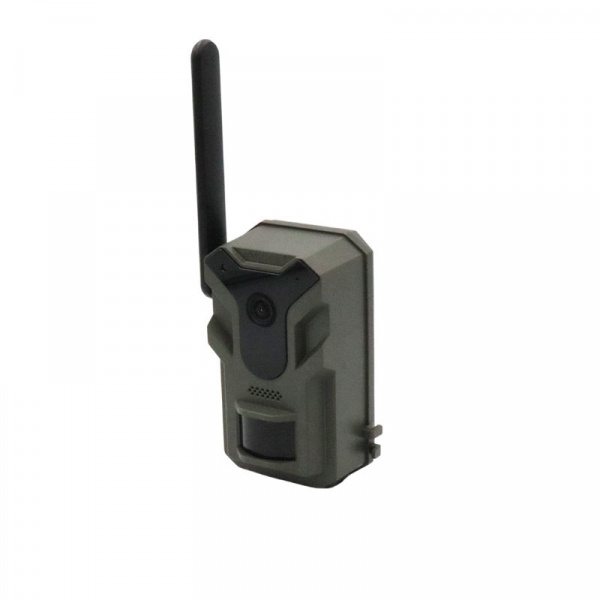 Fotopułapka HWI-T4G Live view z panelem solarnym