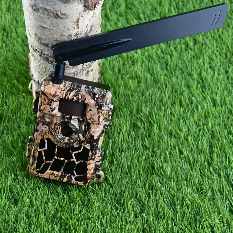 Fotopułapka Kamera Leśna SF5.8AES GPS GSM 4G LTE 24Mpx Full-HD