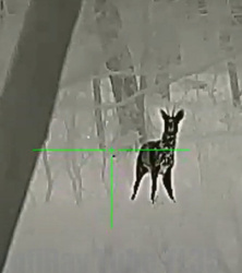 Luneta termowizyjna InfiRay Tube TL35 V.2 2023 z dalmierzem