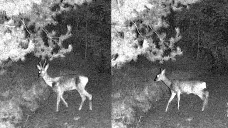 Monokular noktowizyjny Nachtjäger NH-3