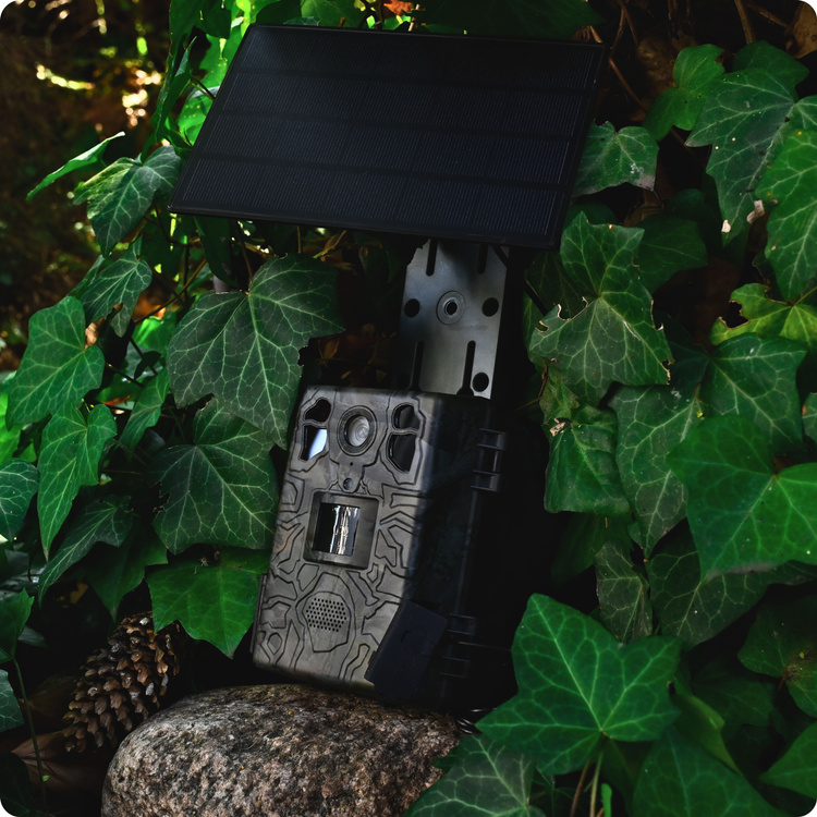 Zestaw Fotopułapka gsm Kamera Leśna TOPHUNT H6 Dark Green Panel Solarny 6xAkumulator 18650 Karta SD 32 GB Karta SIM Orange