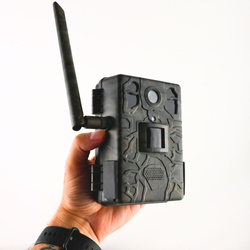 Fotopułapka gsm Kamera Leśna TOPHUNT H6 Dark Green