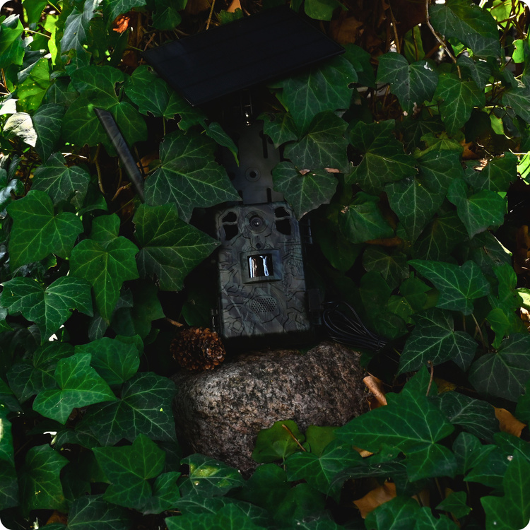 Zestaw Fotopułapka GSM Kamera Leśna TOPHUNT H6 Green Panel Solarny 6xAkumulator 18650 Karta SD 32 GB Karta SIM Orange