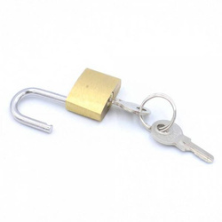 Kłódka do fotopułapki z kluczykiem