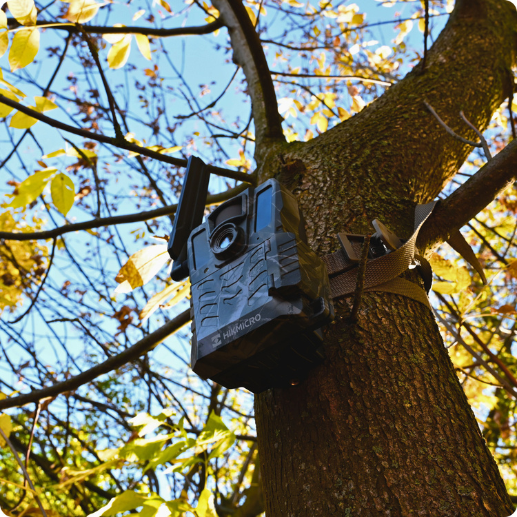 Fotopułapka kamera leśna Hikmicro M15 4G LTE GSM 10Mpx