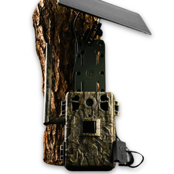 Zestaw Fotopułapka GSM Kamera Leśna TOPHUNT H6 Tree grain Panel Solarny 6xAkumulator 18650 Karta SD 32 GB Karta SIM Orange