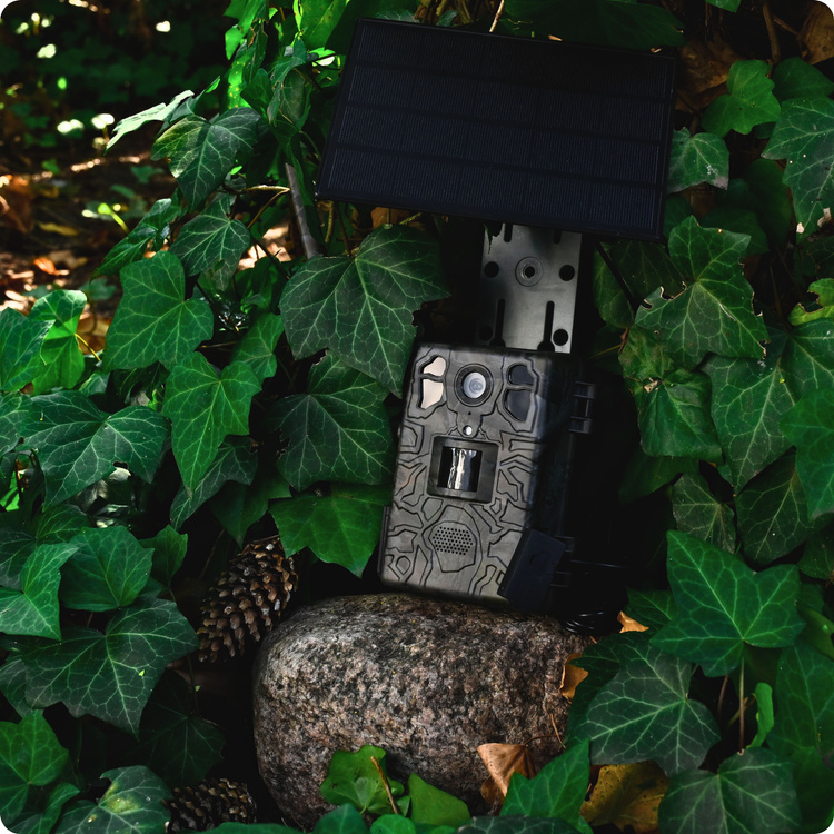 Zestaw Fotopułapka gsm Kamera Leśna TOPHUNT H6 Dark Green Panel Solarny 6xAkumulator 18650 Karta SD 32 GB Karta SIM Orange