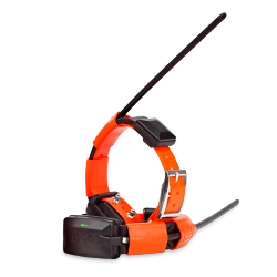 Obroża dla kolejnego psa Dogtrace Dog GPS X30T - pomarańczowa
