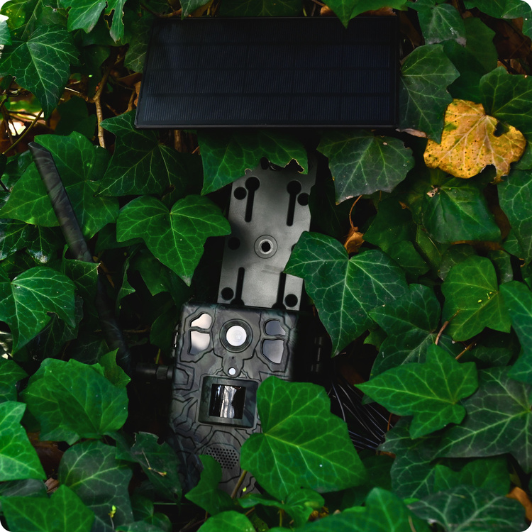 Zestaw Fotopułapka GSM Kamera Leśna TOPHUNT H6 Green Panel Solarny 6xAkumulator 18650 Karta SD 32 GB Karta SIM Orange