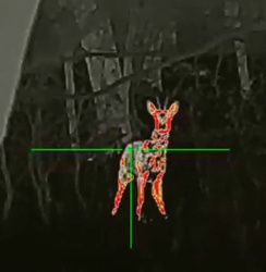 Luneta termowizyjna InfiRay Tube TL35 V.2 2023 z dalmierzem