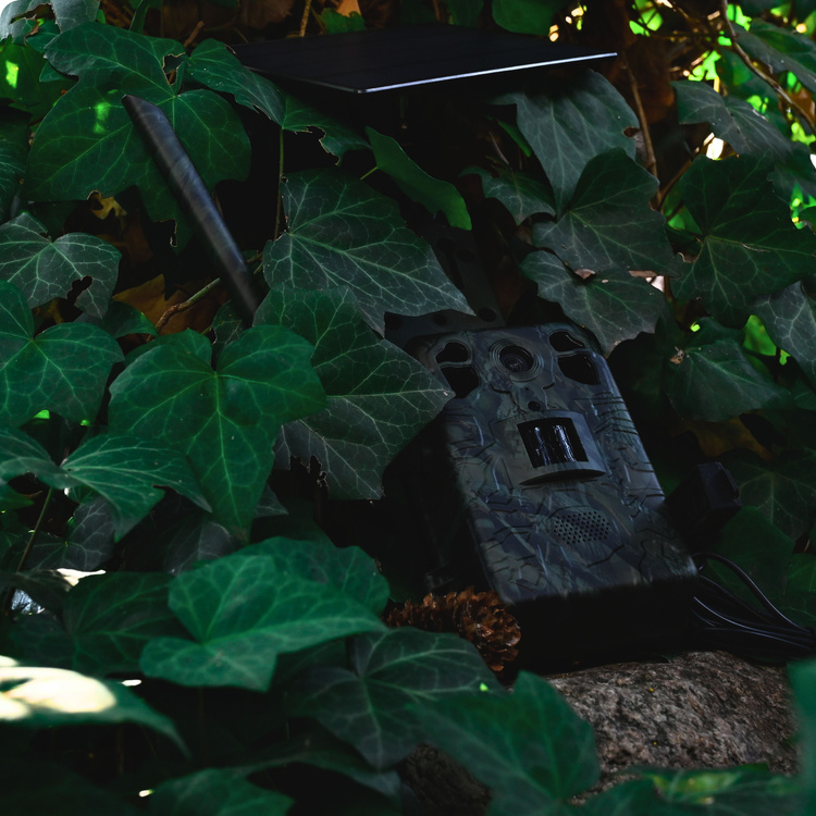 Zestaw Fotopułapka GSM Kamera Leśna TOPHUNT H6 Green Panel Solarny 6xAkumulator 18650 Karta SD 32 GB Karta SIM Orange