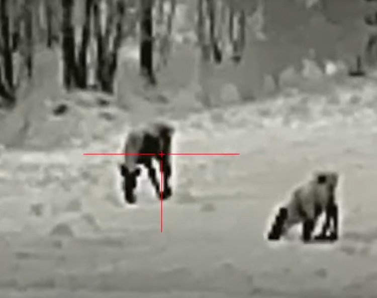 Luneta termowizyjna InfiRay Tube TL35 V.2 2023 z dalmierzem