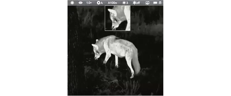 Optyka termowizyjna InfiRay Holo HL25