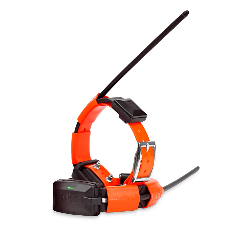 Obroża dla kolejnego psa Dogtrace Dog GPS X30T - pomarańczowa