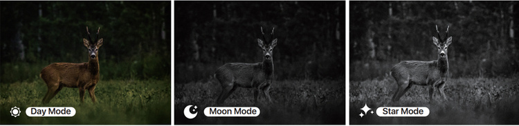 Luneta noktowizyjna Infiray TD50L (Bez IR)