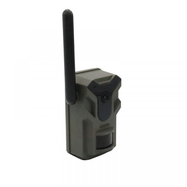 Fotopułapka HWI-T4G Live view z panelem solarnym