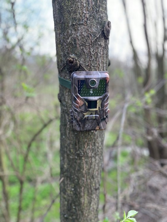 ZESTAW Fotopułapka KAMERA LEŚNA HC-900A 36Mpx 44 IR LED