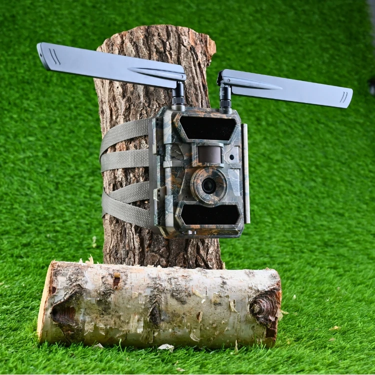 Zestaw Fotopułapka SF4.0P-CWG Pro 100° LTE + 12xAA + SD 32GB + SIM