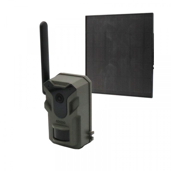 Fotopułapka HWI-T4G Live view z panelem solarnym