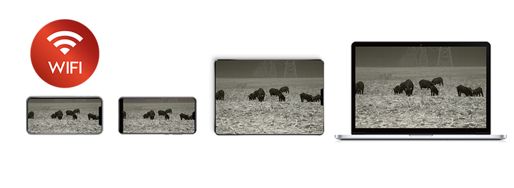 Termowizor Obserwacyjny InfiRay Xeye E6 Plus V.3