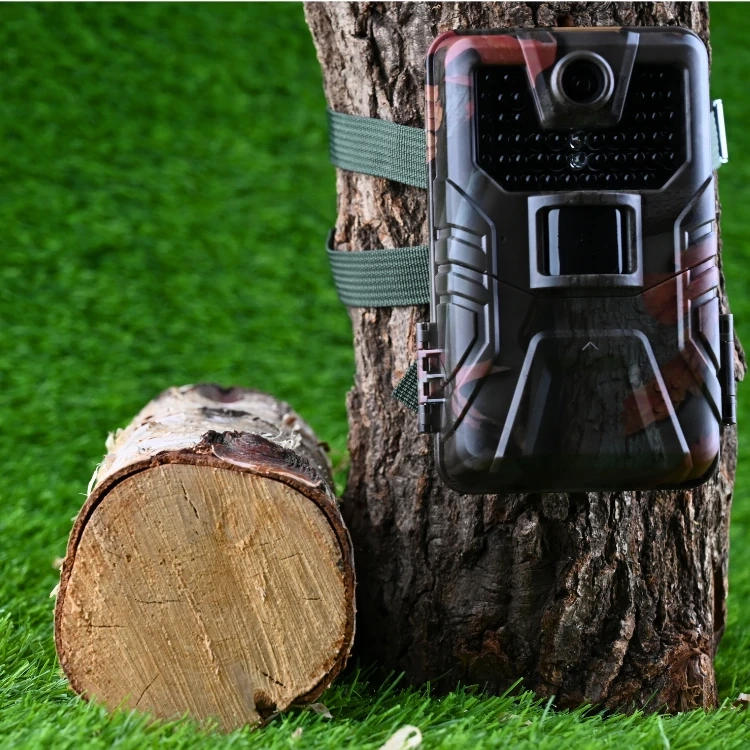 ZESTAW Fotopułapka KAMERA LEŚNA HC-900A 36Mpx 44 IR LED