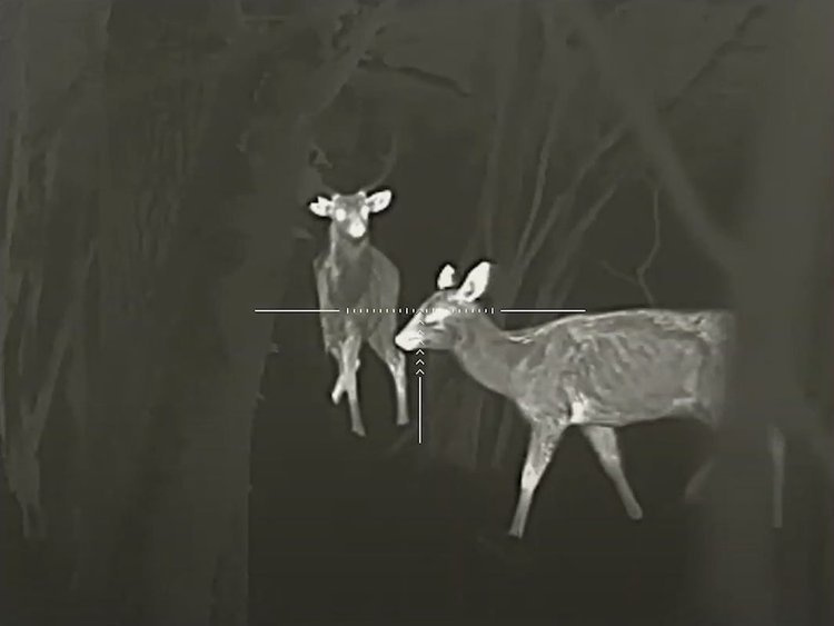 Celownik termowizyjny Luneta Infiray SAIM SCT35 V2 12μm