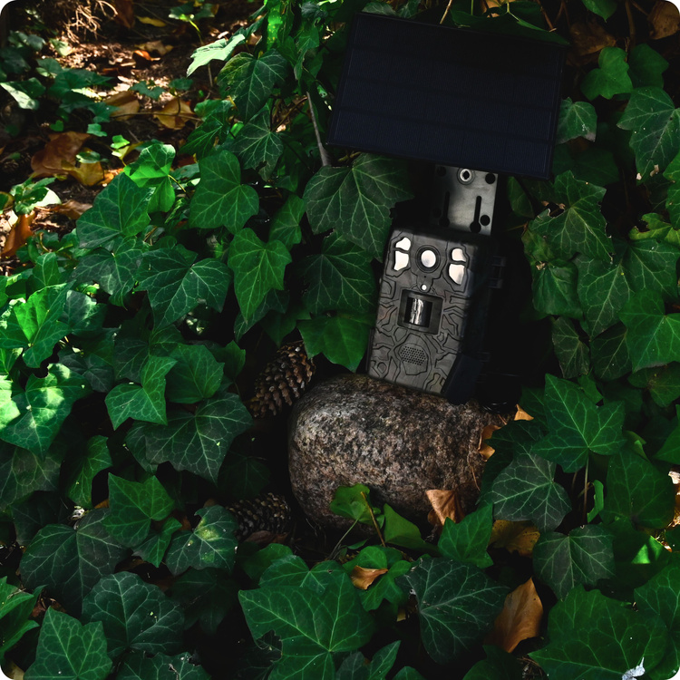 Zestaw Fotopułapka gsm Kamera Leśna TOPHUNT H6 Dark Green Panel Solarny 6xAkumulator 18650 Karta SD 32 GB Karta SIM Orange