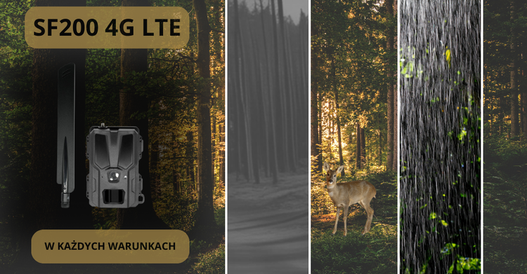 FOTOPUŁAPKA KAMERA LEŚNA SF200 4G LTE