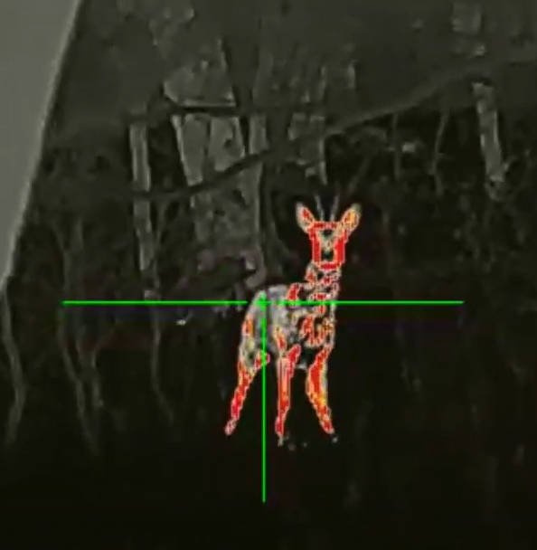 Luneta termowizyjna InfiRay Tube TL35 V.2 2023 z dalmierzem