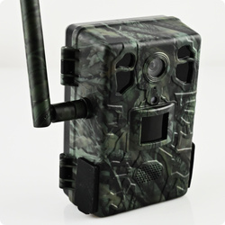 Fotopułapka GSM Kamera Leśna TOPHUNT H6 Green