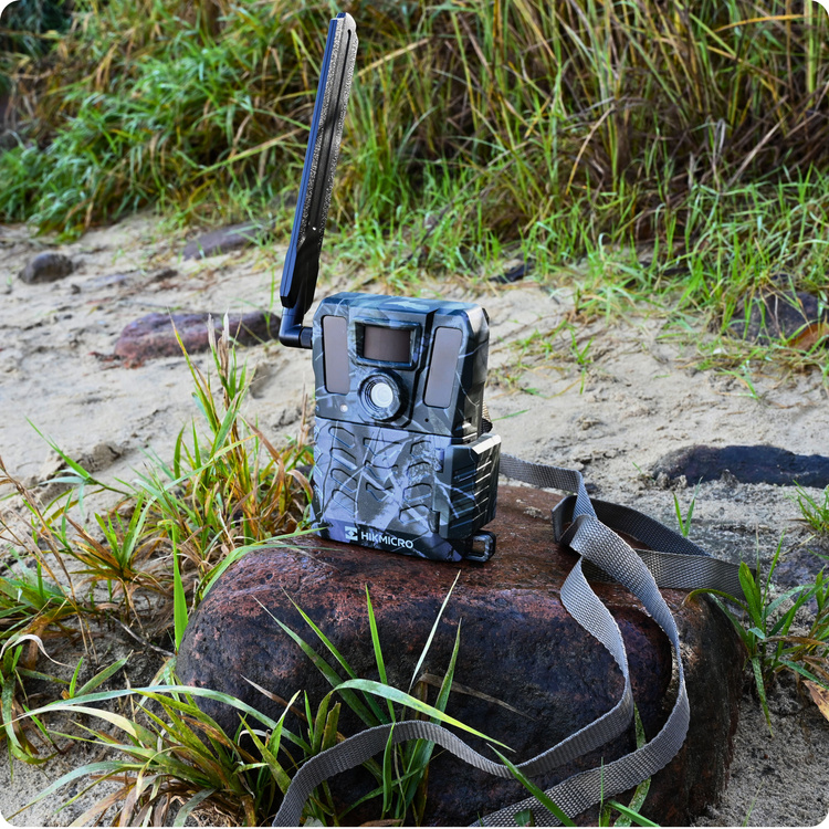 Fotopułapka kamera leśna Hikmicro M15 4G LTE GSM 10Mpx