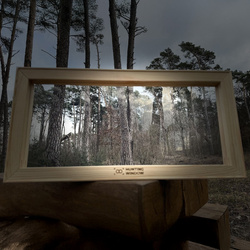 Okno Termowizyjne 30x60cm