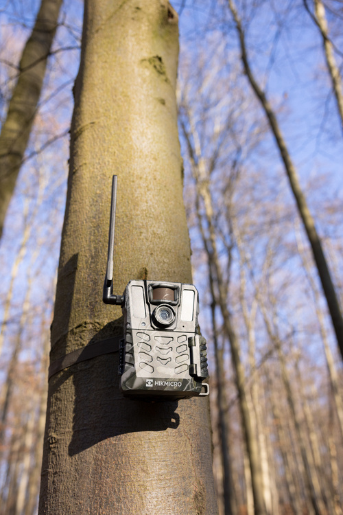 Fotopułapka kamera leśna Hikmicro M15 4G LTE GSM 10Mpx