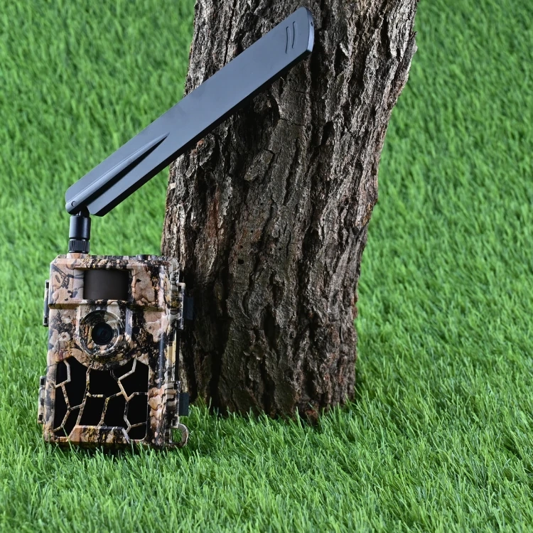 Zestaw Fotopułapka SF5.8CG AES + 8xAA + SD 32GB + Karta SIM