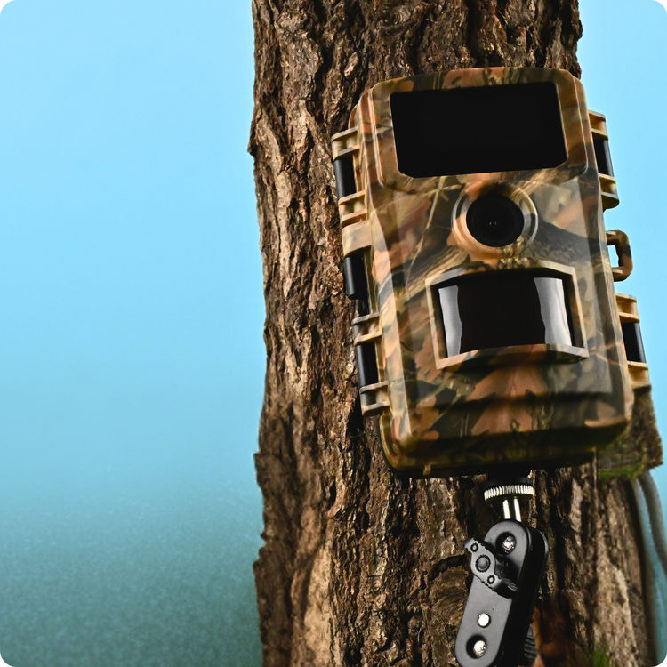 Fotopułapka DOGTRACE D-Guard 940 do monitoringu zwierząt i posesji