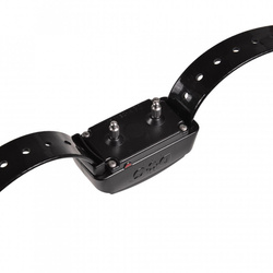 Elektryczna obroża treningowa dla psa DOGTRACE d-control professional 1000 czarna