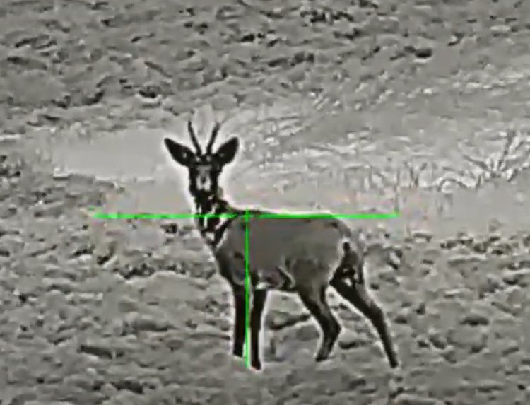 Luneta termowizyjna InfiRay Tube TL35 V.2 2023 z dalmierzem