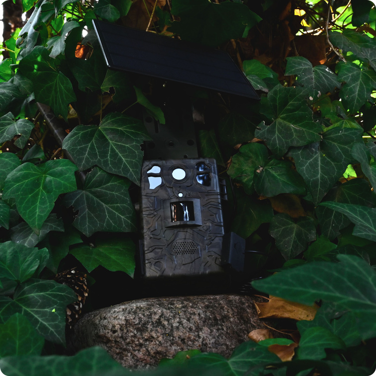 Zestaw Fotopułapka gsm Kamera Leśna TOPHUNT H6 Dark Green Panel Solarny 6xAkumulator 18650 Karta SD 32 GB Karta SIM Orange