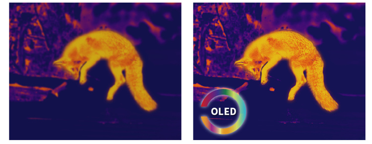 Luneta termowizyjna Pegasus PFI-P635 Pixfra
