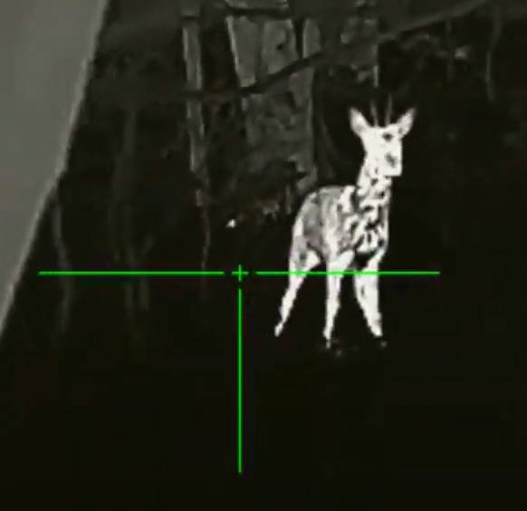 Luneta termowizyjna InfiRay Tube TL35 V.2 2023 z dalmierzem