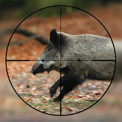 Luneta Delta Titanium HD 2,5-15x56 SF z siatką 4A S 2023