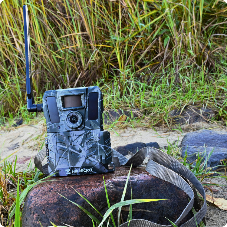 Fotopułapka kamera leśna Hikmicro M15 4G LTE GSM 10Mpx