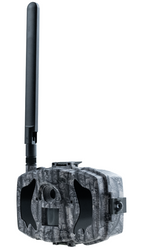 Kamera leśna Fotopułapka MG984G Full- HD 4G LTE GSM MMS GPRS 36MPX